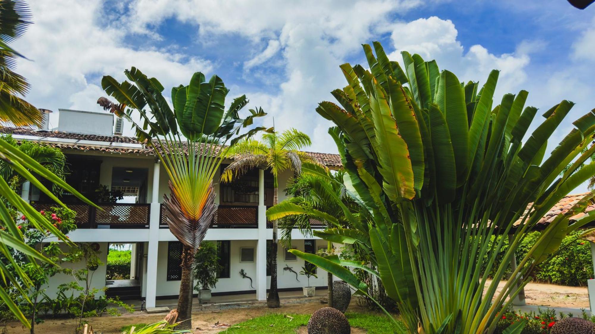 Casa Acayu Hotel São Miguel dos Milagres Buitenkant foto