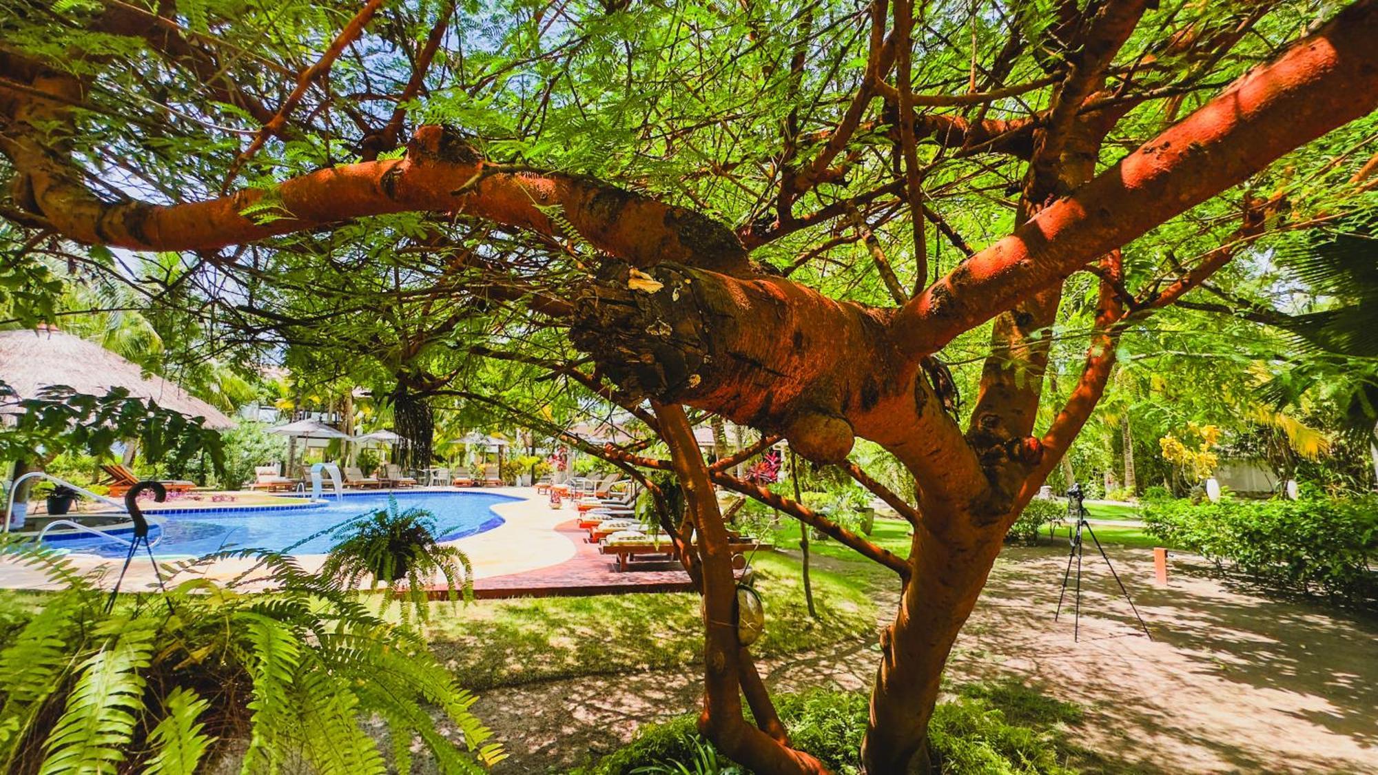 Casa Acayu Hotel São Miguel dos Milagres Buitenkant foto